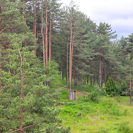 Zlatibor Holiday, Vila Leonardo VI Buitenkant foto
