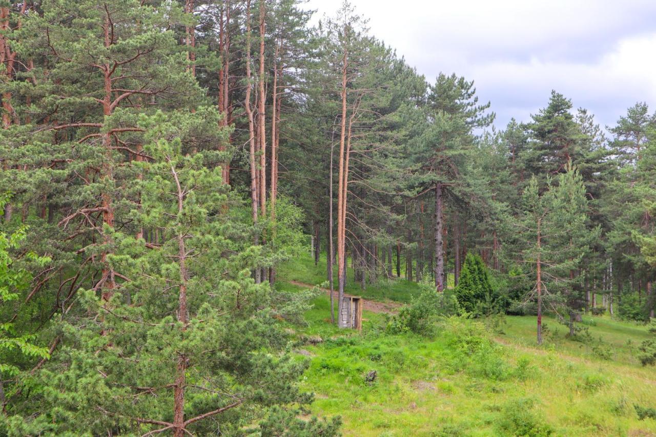 Zlatibor Holiday, Vila Leonardo VI Buitenkant foto
