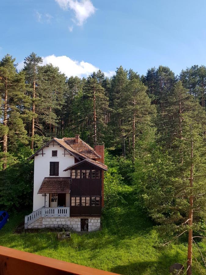 Zlatibor Holiday, Vila Leonardo VI Buitenkant foto