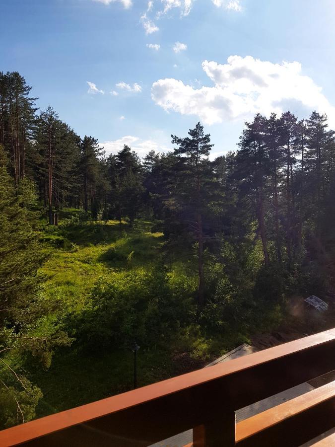 Zlatibor Holiday, Vila Leonardo VI Buitenkant foto