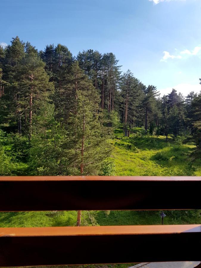 Zlatibor Holiday, Vila Leonardo VI Buitenkant foto